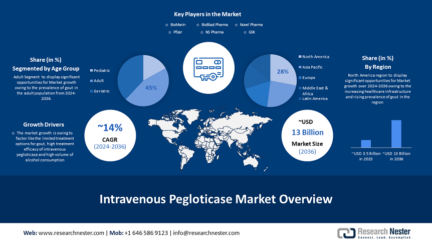 Intravenous Pegloticase Market
